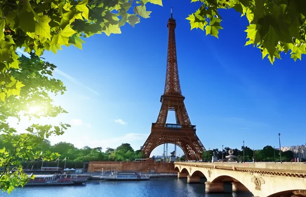 Eiffel tower, Paris. France — Stock Photo, Image