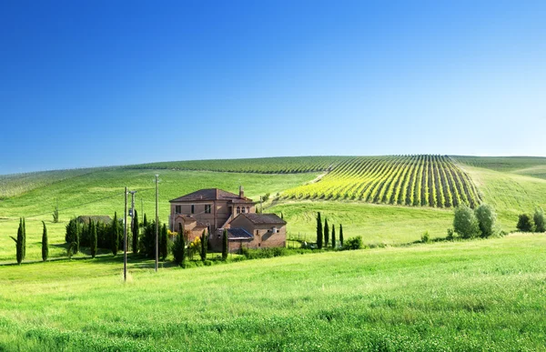 Toscane landschap met de typische boerderij Rechtenvrije Stockafbeeldingen