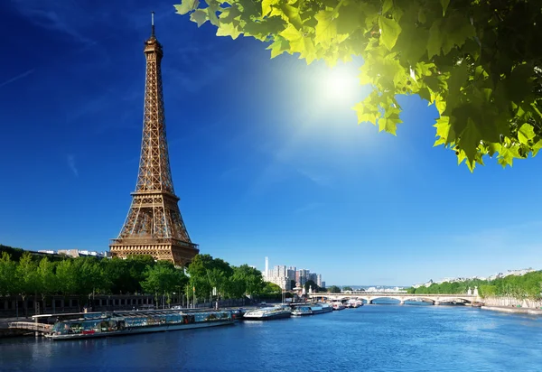 Eiffel tower, Paris. France Royalty Free Stock Photos