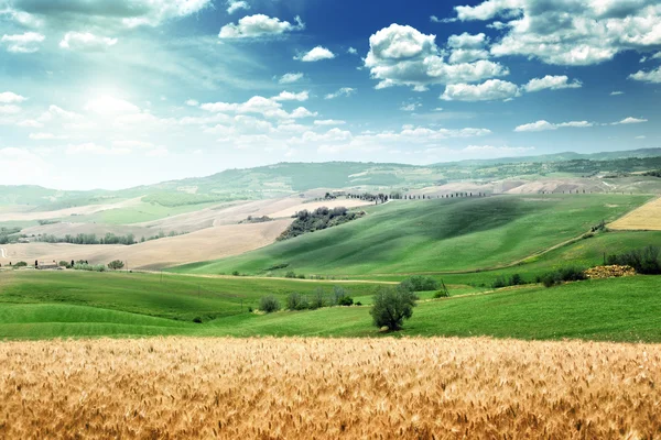 Zomer landschap van Toscane, Italië — Stockfoto