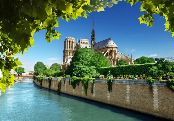 Notre Dame Paris, Francie — Stock fotografie