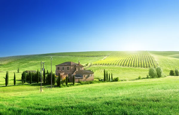 Tuscany landscape with typical farm house — Stock Photo, Image