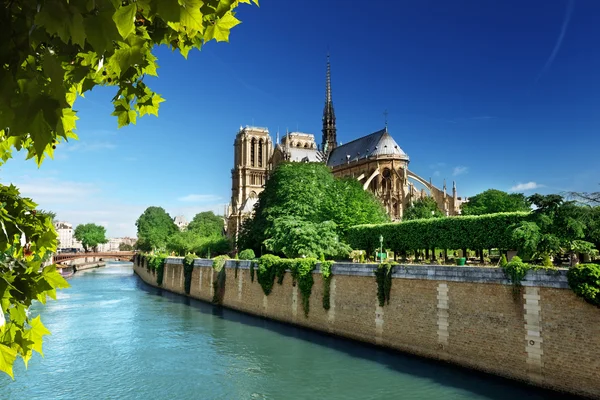 Notre Dame Paris, Francie — Stock fotografie