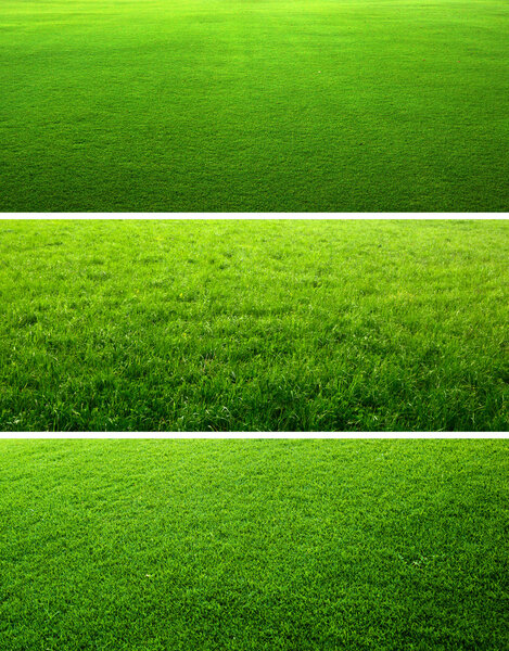 Green grass backgrounds