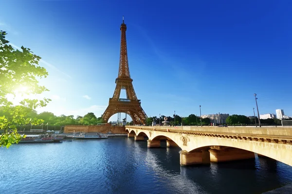 Eiffeltoren, Parijs. Frankrijk Rechtenvrije Stockfoto's