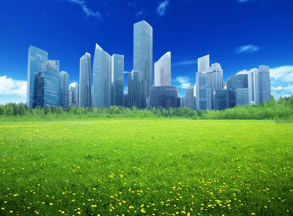 Campo de flores de primavera y ciudad moderna — Foto de Stock