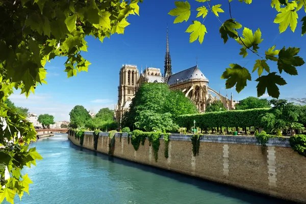 Notre Dame París, Francia — Foto de Stock