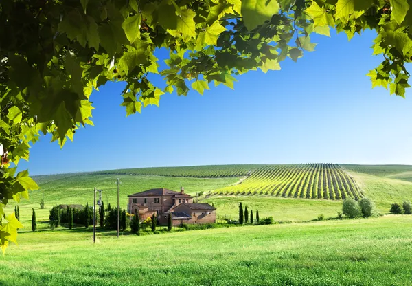 Toscane landschap met de typische boerderij Stockfoto