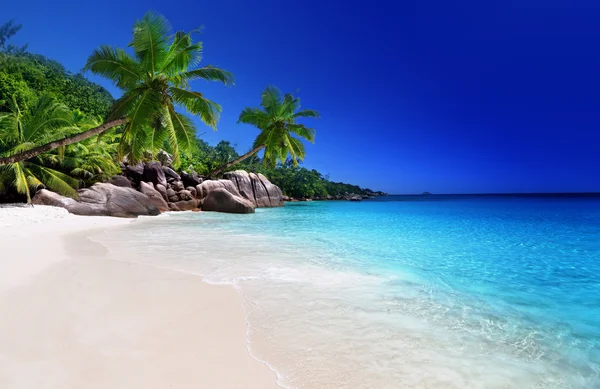 Spiaggia sull'isola di Praslin, Seychelles — Foto Stock