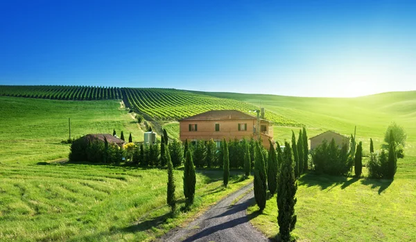 Paysage toscan avec ferme typique, Italie Image En Vente