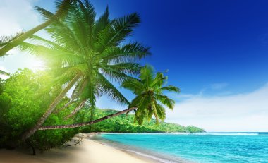 günbatımı zamanı Beach'te mahe Adası Seyşel Adaları '