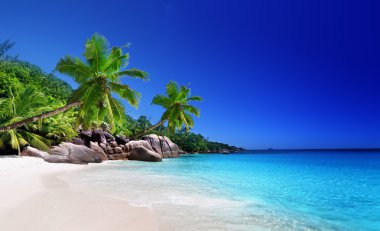 beach at Praslin island, Seychelles clipart