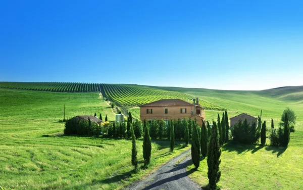 Paisaje en Toscana con casa de campo típica, Italty — Foto de Stock