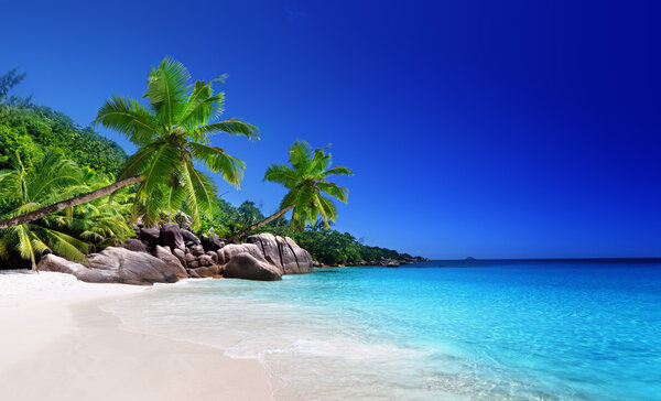 beach at Praslin island, Seychelles