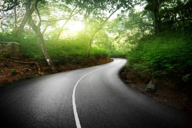 Boş yol ormanda seychelles Adaları