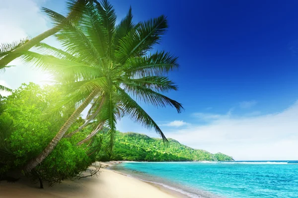 Praia em horário de pôr do sol na ilha de Mahe em Seychelles — Fotografia de Stock