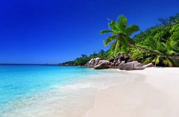 Praia na ilha Praslin, Seychelles — Fotografia de Stock