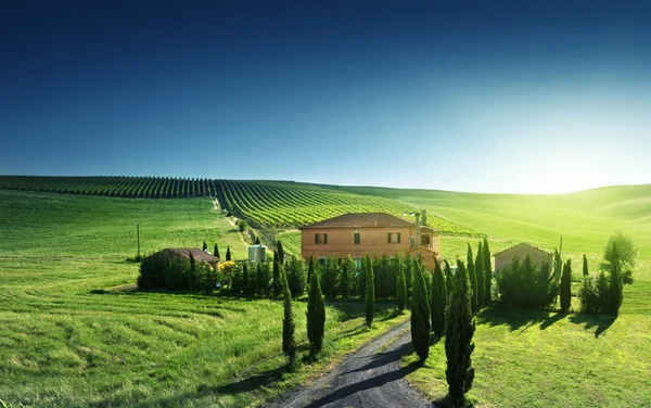 Paesaggio toscano con casale tipico, Italia Immagine Stock