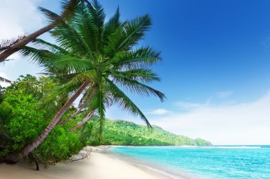 günbatımı zamanı Beach'te mahe Adası Seyşel Adaları '