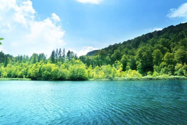 Jezero v lese v Chorvatsku — Stock fotografie