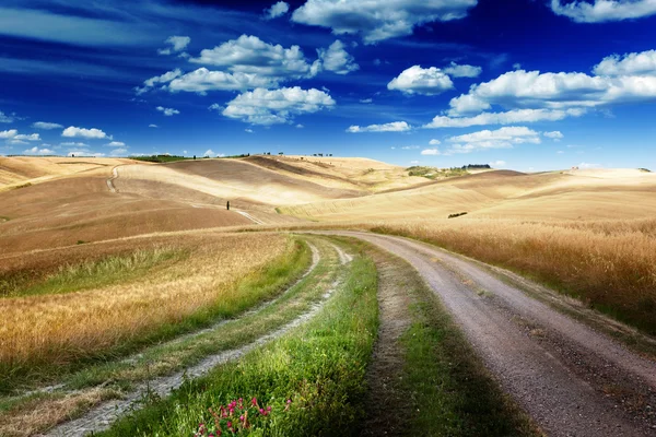 Estrada entre os Campos da Toscana, Itália — Fotografia de Stock