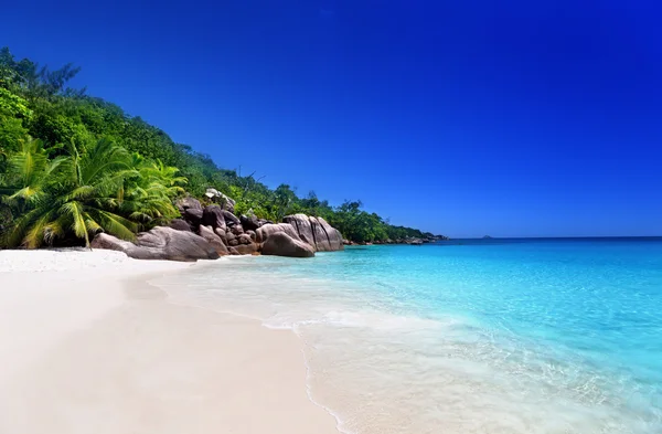 Playa en la isla de Praslin, Seychelles —  Fotos de Stock