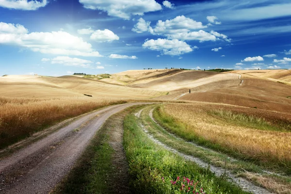 Droga między polami w Toskanii, Włochy — Zdjęcie stockowe