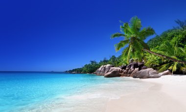 beach at Praslin island, Seychelles clipart