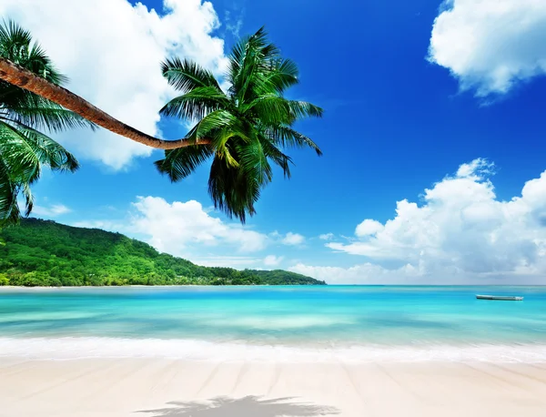 Playa en la isla de Mahe en Seychelles —  Fotos de Stock