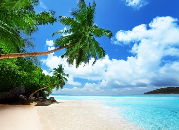 Plage sur l'île de Mahe aux Seychelles — Photo