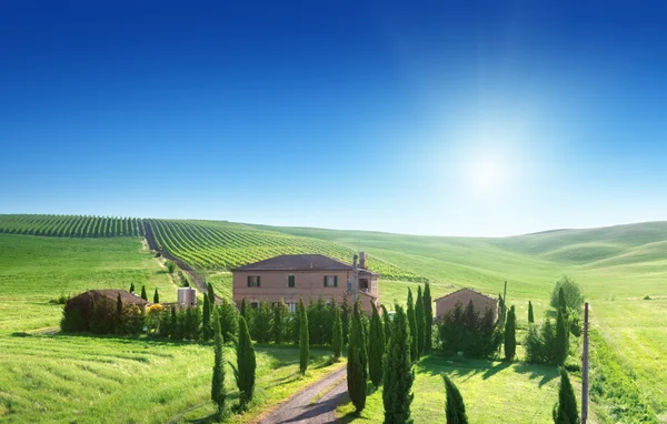 Paesaggio toscano con casale tipico, Italia Fotografia Stock