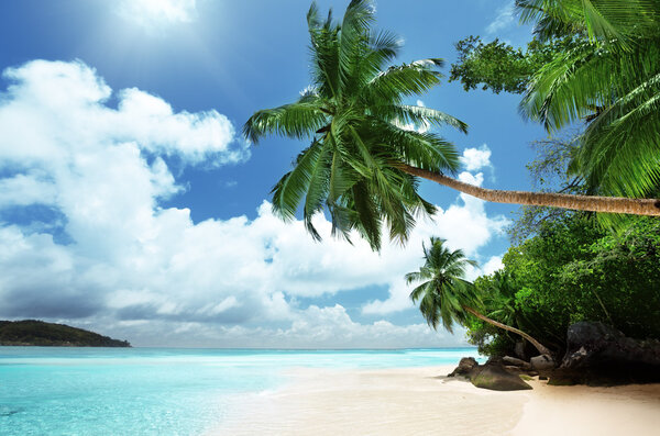 beach on Mahe island in Seychelles