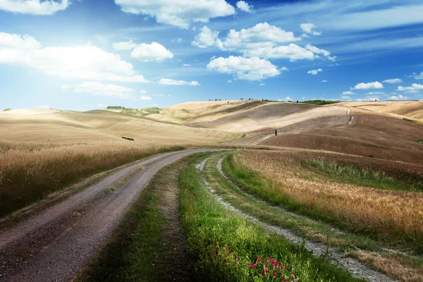 Estrada entre os Campos da Toscana, Itália — Fotografia de Stock