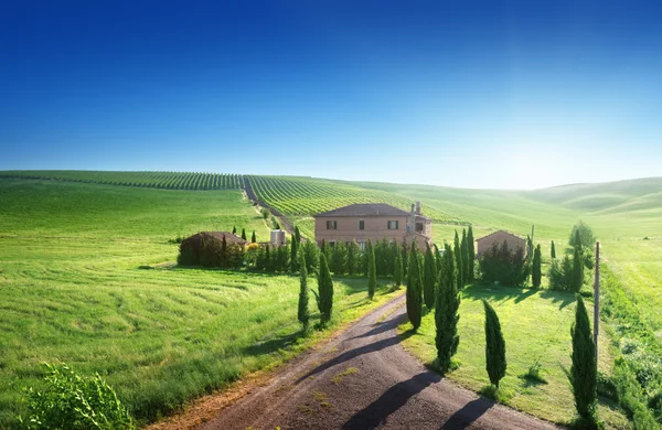 典型的な農場の家、italty とトスカーナの風景 ストック画像