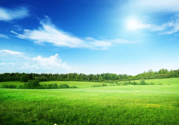 Поле травы и идеальное небо Стоковое Фото