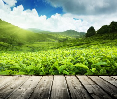 ahşap yerde çay plantasyon cameron highlands, Malezya