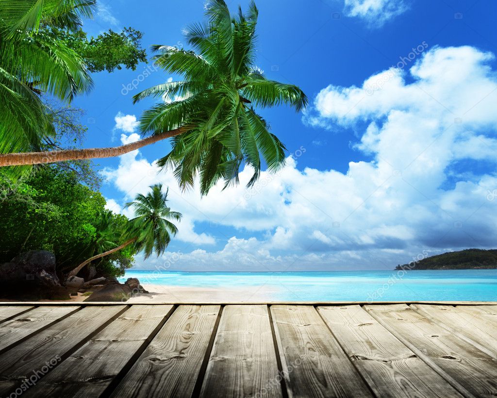 Plage Cocotier Images Libres De Droit Photos De Plage Cocotier Depositphotos