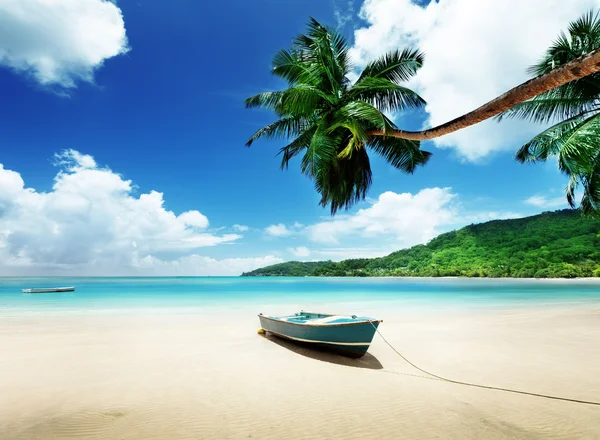 Boot op strand mahe island, Seychellen — Stockfoto