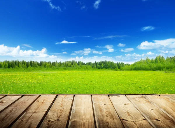 Champ de printemps et plancher de bois — Photo