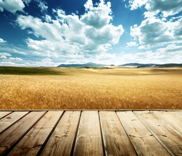 Plataforma de madera y colinas de cebada Toscana, Italia — Foto de Stock