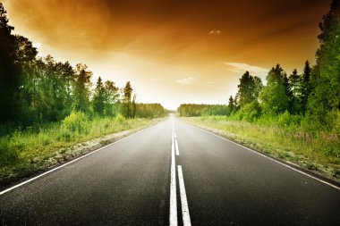 derin orman yolu