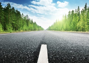Rus ormanında yol