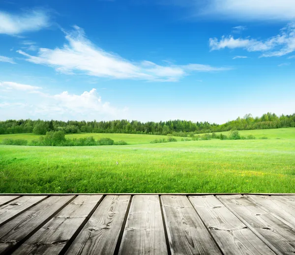 Campo de hierba y cielo perfecto — Foto de Stock