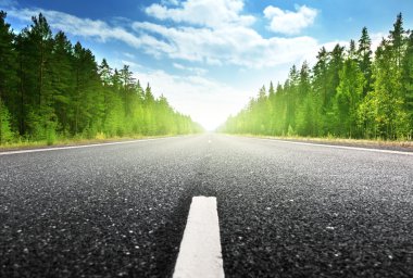 Rus ormanında yol