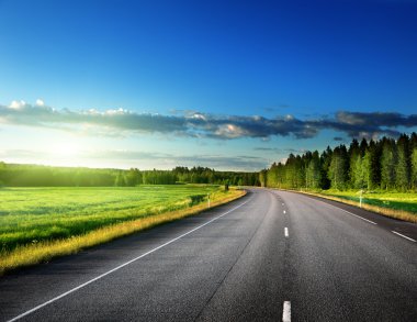 yol asfalt orman