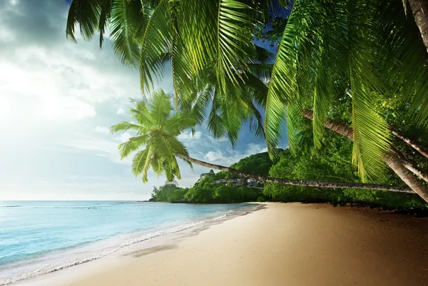 Tramonto sulla spiaggia Anse Takamaka dell'isola di Mahe, Seicelle — Foto Stock