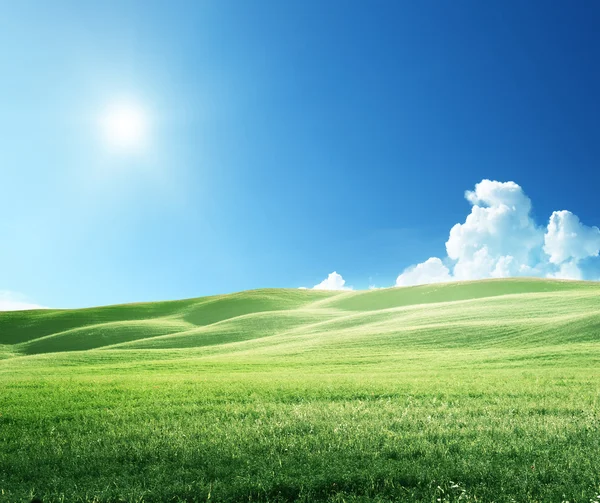 푸른 초목 과 완전 한 하늘 — 스톡 사진