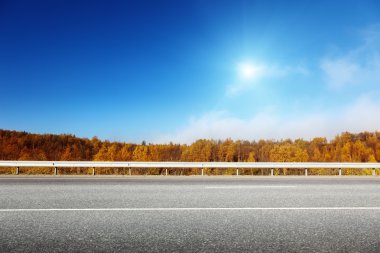 Sonbahar ormanında yol
