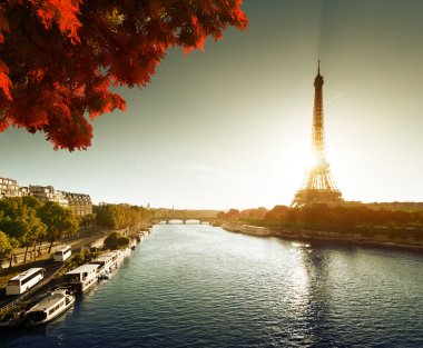 Paris'te Eyfel Kulesi ile sonbaharda SEINE.