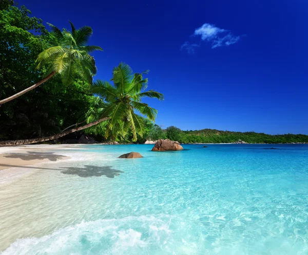 Praia na ilha Praslin, Seychelles — Fotografia de Stock